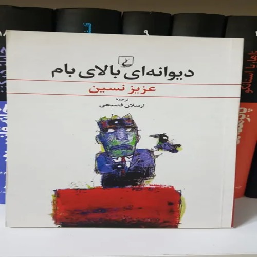 فروش دیوانه ای بالای بام عزیزنسین با بهترین قیمت