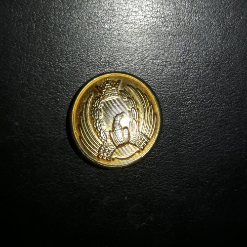 فروش دکمه نیروی هوای پهلوی با بهترین قیمت