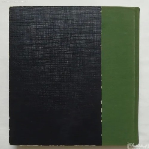 فروش جزیره دلفینهای آبی رنگ سکات اودل فرانکلین