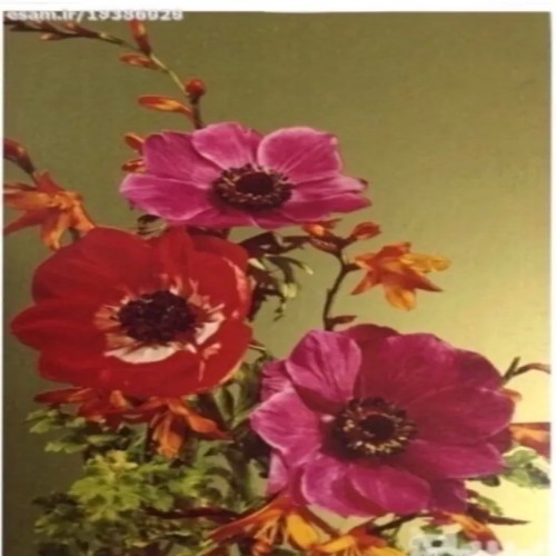 فروش دو عدد کارت پستال قدیمی 10x15 سانت