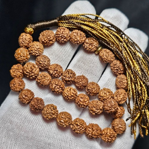 تسبیح 33 دانه رودراکشا اصل قطر 10 میلیمتر