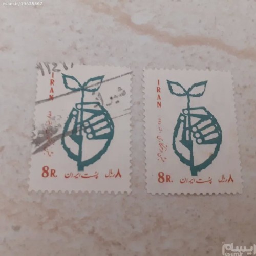 فروش نو وباطله درختکاری 1345 | بهترین قیمت و کیفیت