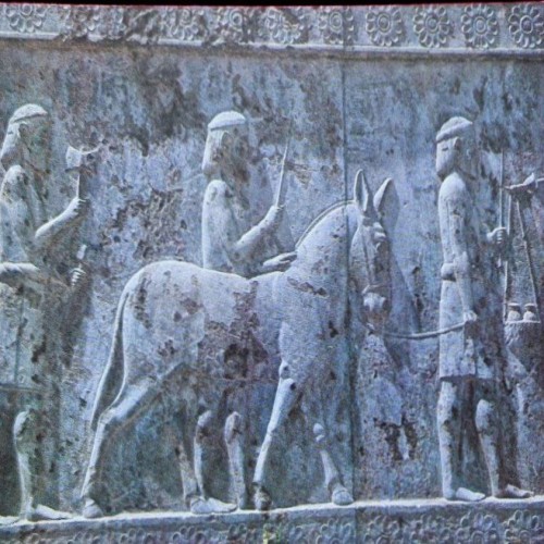 فروش کارت پستال پرسپولیس شیراز