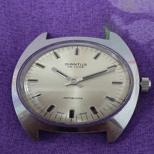 فروش دیانتوس کوکی قدیمی با کیفیت عالی و سالم