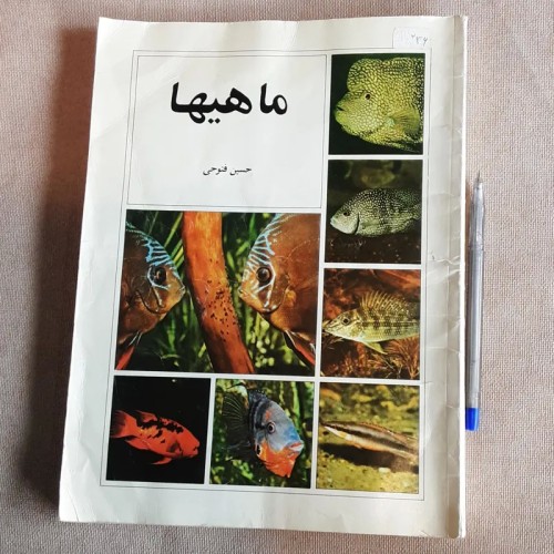 فروش ماهی‌ها - کتاب رحلی رنگی حسین فتوحی