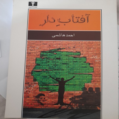 خرید کتاب آفتاب دار احمد هاشمی کد 131 با بهترین قیمت
