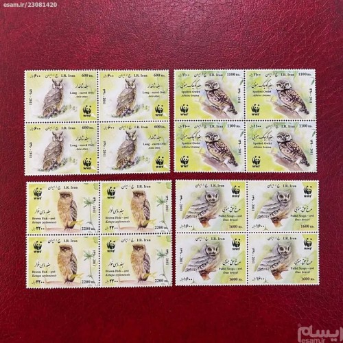 فروش جغدهای بومی ایران 1390 با بهترین قیمت