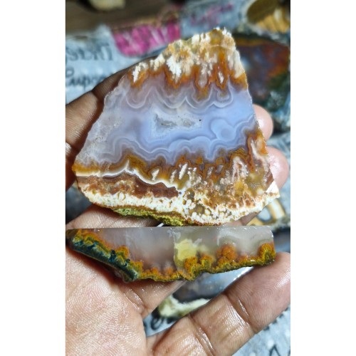 فروش اسلایس شجر ناب