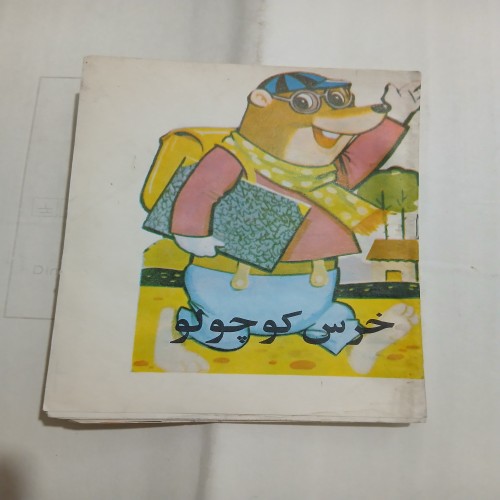 فروش خرس کوچولو جیبی پدیده با قیمت مناسب