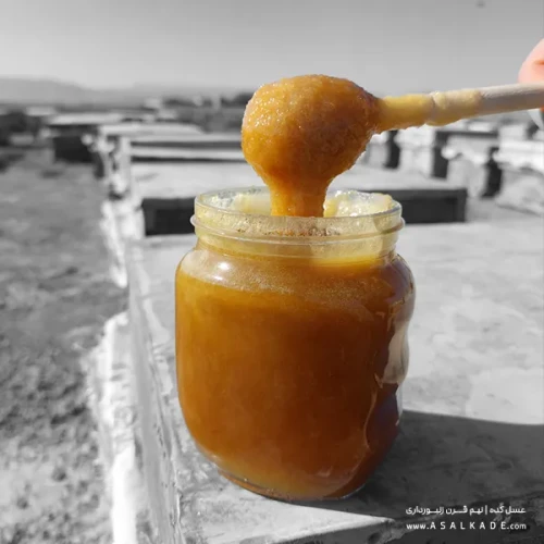 عسل گشنیز خام ارگانیک طبیعی و سالم