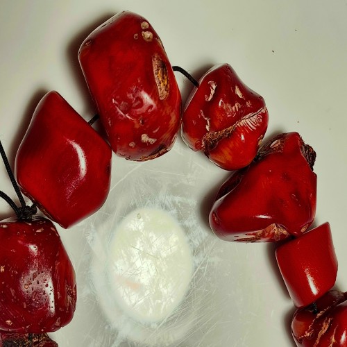 خرید حرمهره مرجان راف طبیعی 160گرم با قیمت مناسب