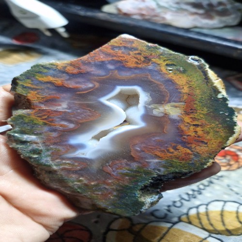 فروش اسلایس شجر خاص