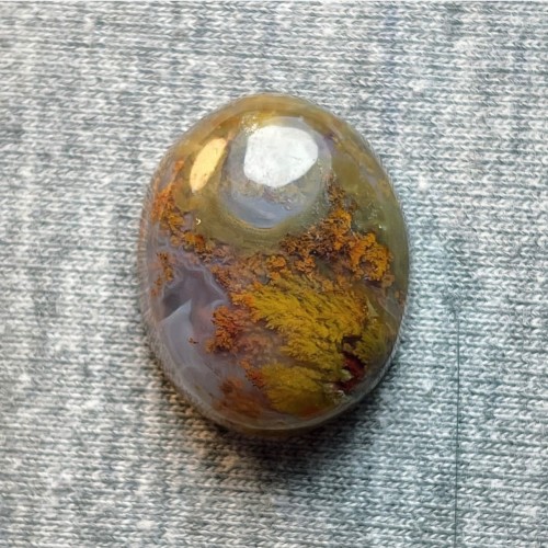 خرید شجر پاییزی فردوس وردسا با ابعاد 19 در 16 میلی متر