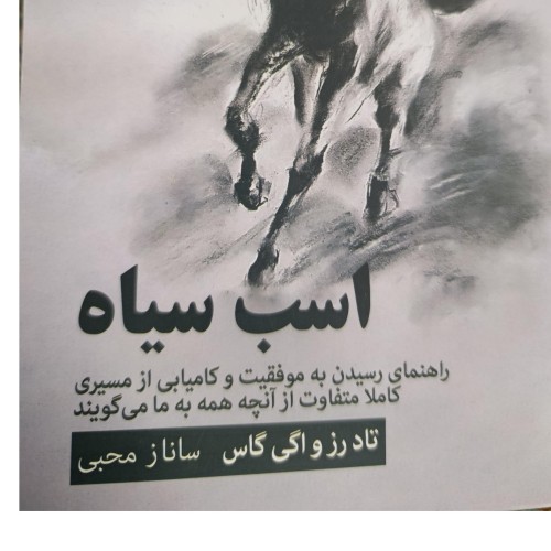 خرید کتاب اسب سیاه اثر تاد رز و اگی گاس