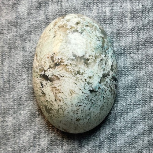 شجر بهاری زیبا درشت - کد 1547