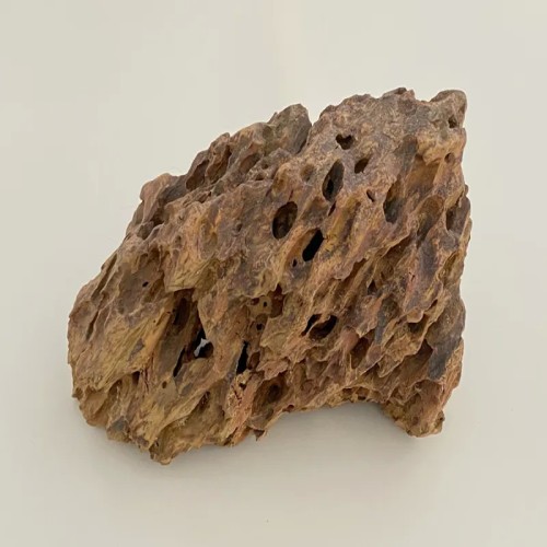 فروش سنگ دراگون تزئینی آکواریوم با طراحی خاص و بی‌ضرر