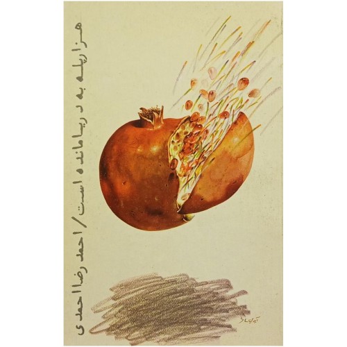 خرید کتاب هزار پله به دریا مانده است احمد رضا احمدی