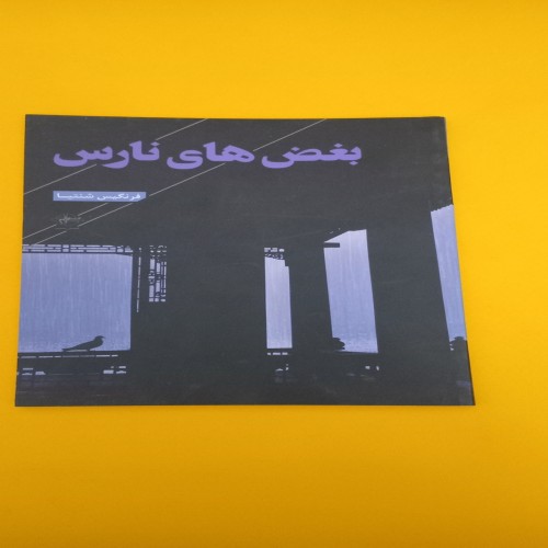 خرید کتاب بغض های نارس اثر فرنگیس شنتیا با تخفیف