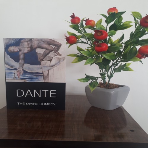 خرید کتاب دانته دیوین کامیک انتشارات وردزورث