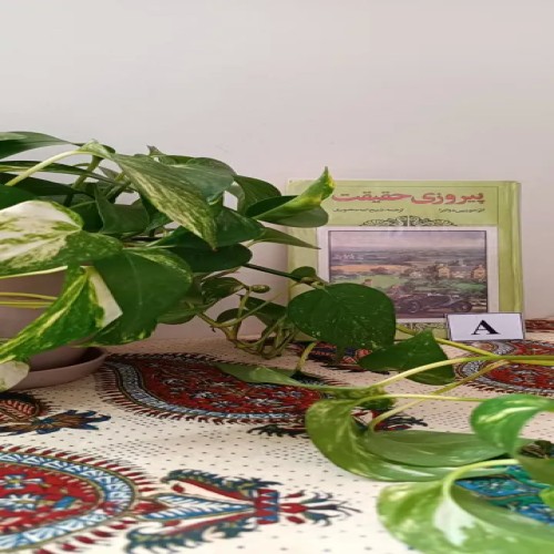 فروش پیروزی حقیقت ذبیح الله منصوری