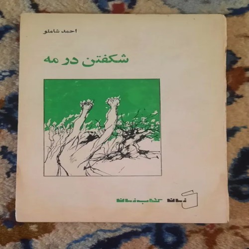 کتاب شکفتن در مه اثر احمد شاملو - نوبت دوم