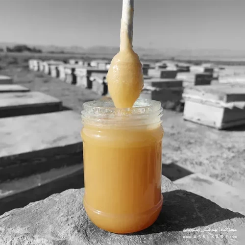 عسل خارشتر خام ارگانیک طبیعی و خالص