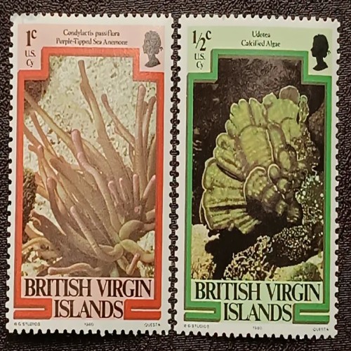 فروش تمبر جزایر ویرجین بریتانیا مهر نخورده