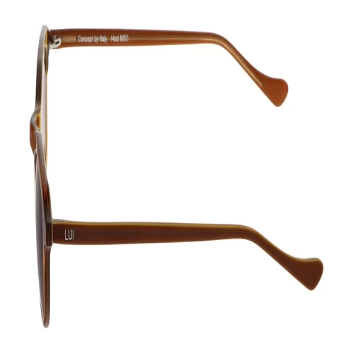 عینک آفتابی لویی LUI mod bl50 14 - Image 4