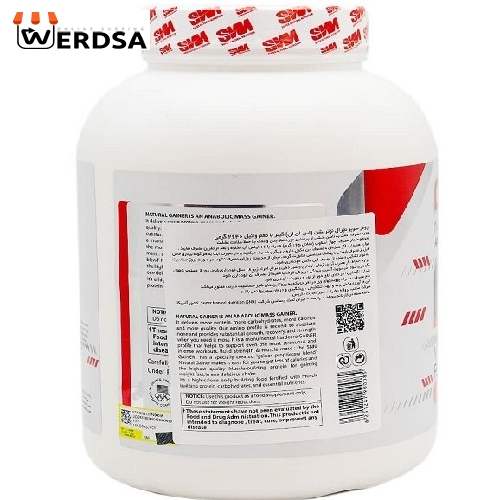 پودر ماسل مس گینر رپتور اس ان ان 2640 گرم