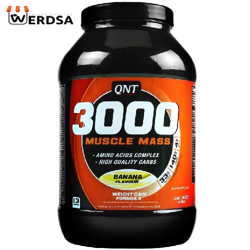 پودر گینر ماسل مس 3000 کیو ان تی - 2000 گرم