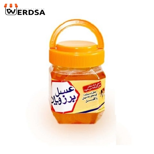 عسل خارشتر 500 گرمی موم دار