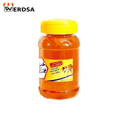 عسل گون 1 کیلویی خام