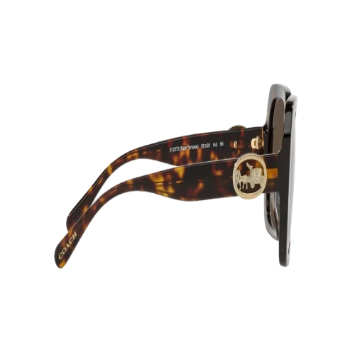 عینک آفتابی کوچ Coach HC8329U 512073 - Image 3