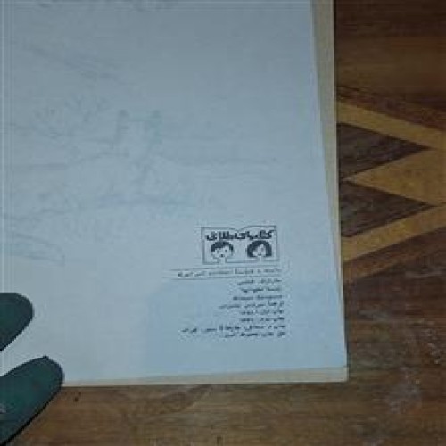 زمستانخوابها