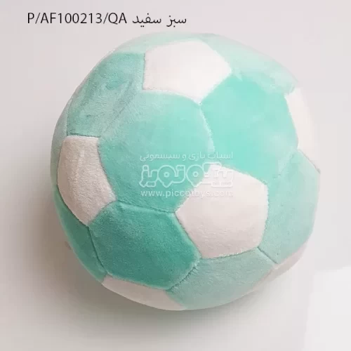 توپ پولیشی