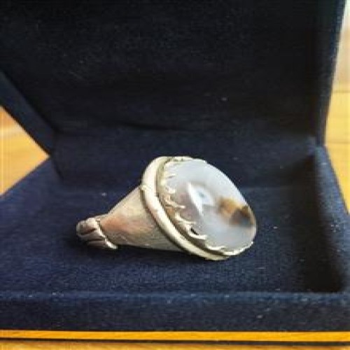 انگشترشجرسوزنی