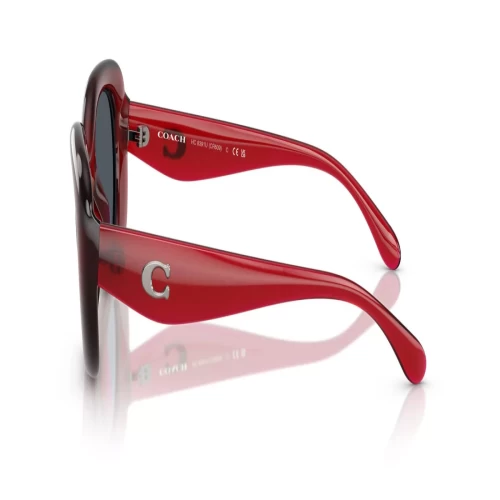 عینک آفتابی کوچ Coach HC8391U - Image 3