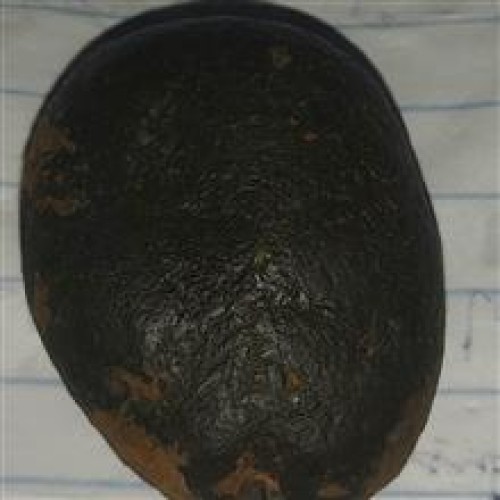 سنگ مشکوک به شهاب سنگ