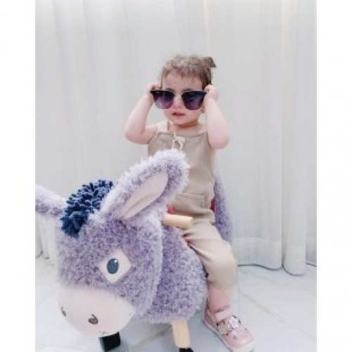 الاغ چرخدار بوجانگلز little bird مدل 3073