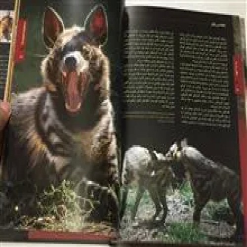 پستانداران