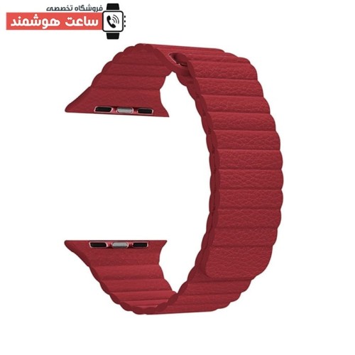 بند لدر لوپ اپل واچ - Apple Watch Leather Loop Strap - Image 4