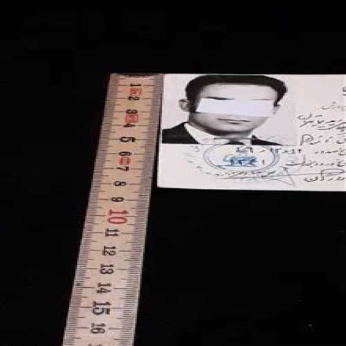برگ