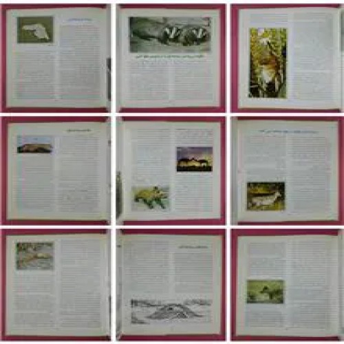 پستانداران