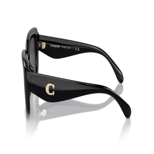 عینک آفتابی کوچ Coach HC8390U - Image 3