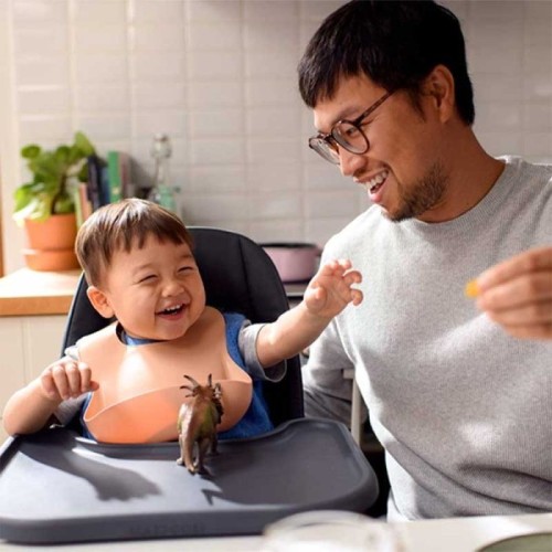 صندلی غذا مکسی کوزی مدل Maxi cosi Minla Grey کد 2713050110