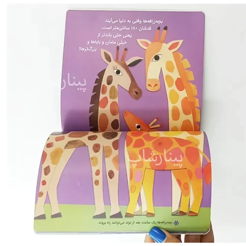 کتاب کودک سلام دنیا، بچه حیوانات کد 743789