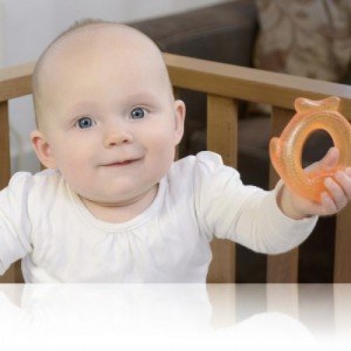 دندانگیر ماهی نارنجی kidsme کد 9020
