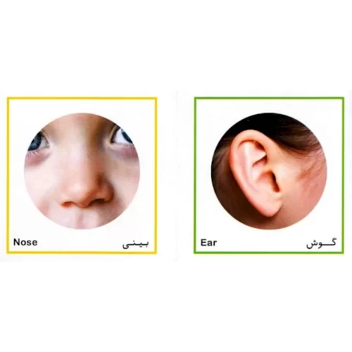 کتاب آموزشی اعضای بدن