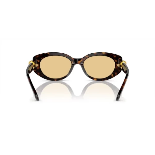 عینک آفتابی سواروسکی Swarovski SK 6002S - Image 3