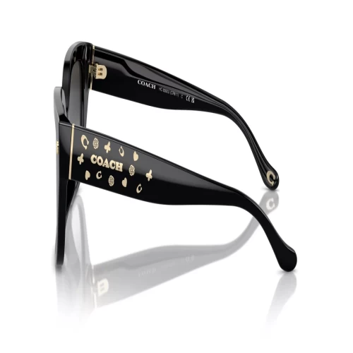 عینک آفتابی کوچ Coach HC8392U - Image 3